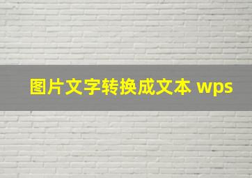 图片文字转换成文本 wps